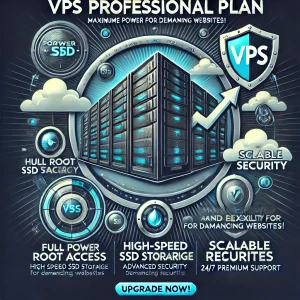 Plan VPS profesional netoka